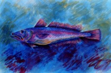 Peixe